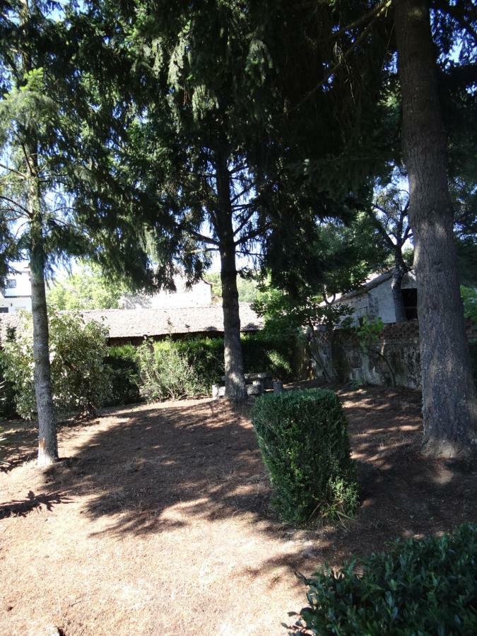 Museu Casa Aleixo Pensionat Sernancelhe Exteriör bild