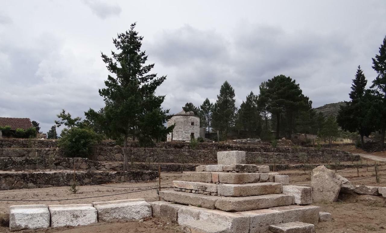Museu Casa Aleixo Pensionat Sernancelhe Exteriör bild