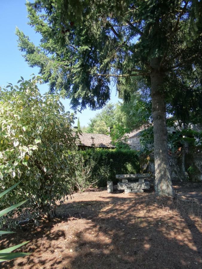 Museu Casa Aleixo Pensionat Sernancelhe Exteriör bild