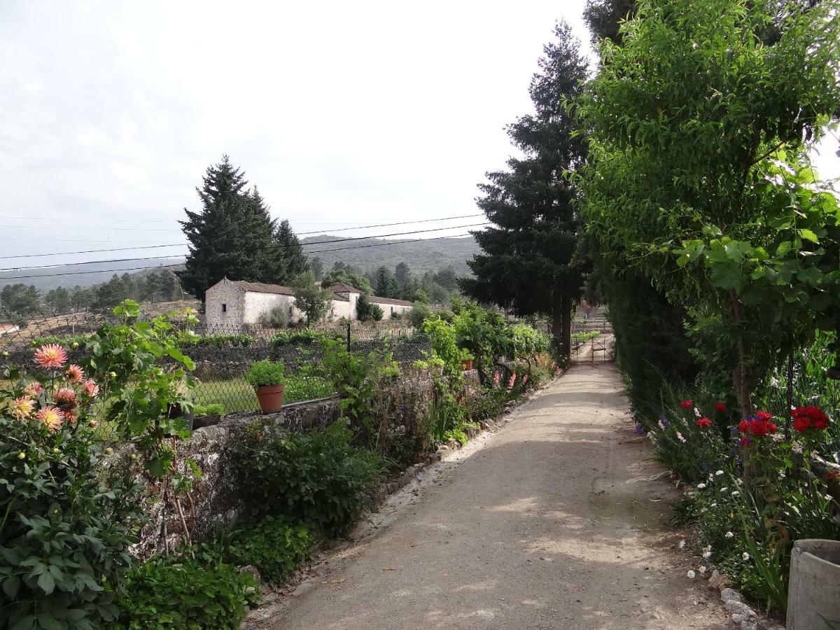 Museu Casa Aleixo Pensionat Sernancelhe Exteriör bild